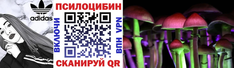 Псилоцибиновые грибы мухоморы  Соль-Илецк 