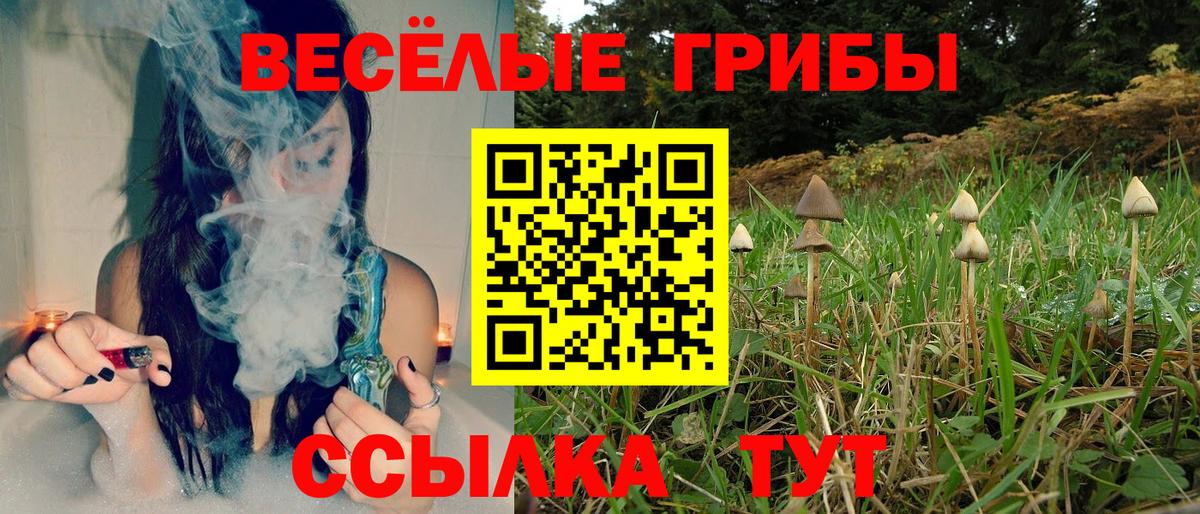 Галлюциногенные грибы GOLDEN TEACHER  Псилоцибиновые грибы GOLDEN TEACHER  Вход с VPN  Соль-Илецк 